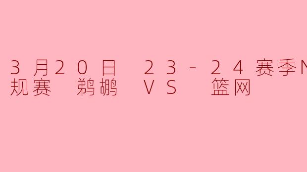 3月20日 23-24赛季NBA常规赛 鹈鹕 VS 篮网